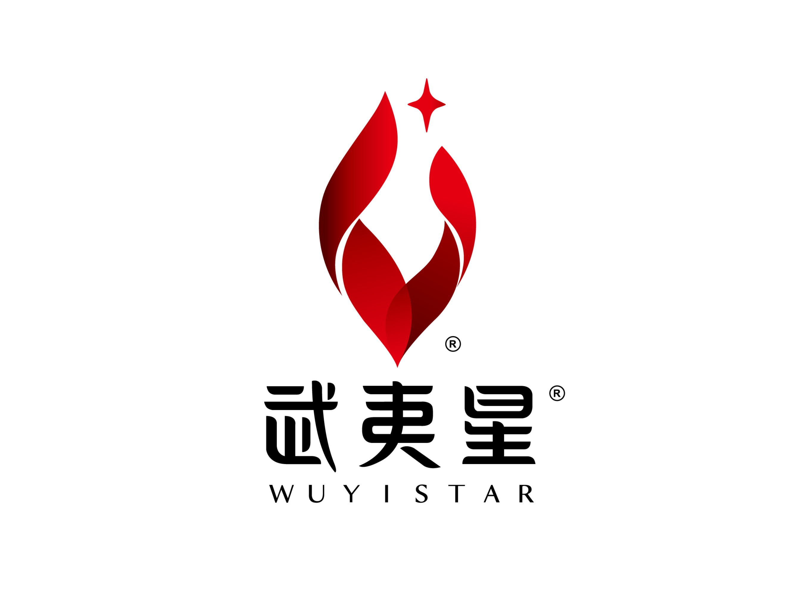 合作案例武夷星